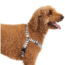 Charcoal Hamptons Stripe Hemp No-Pull Dog Harness